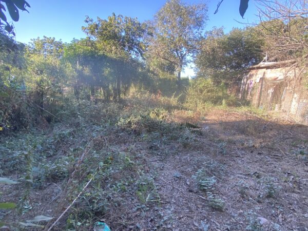 LOTE POR CARRETERA EN VENTA EN EL BATALLON NAVOLATO CULIACAN - Image 4