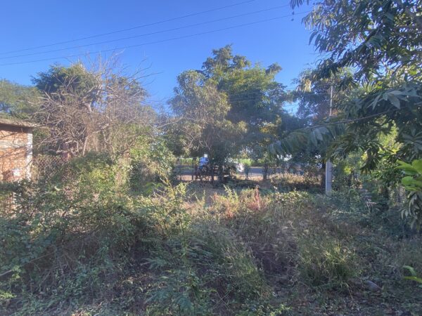 LOTE POR CARRETERA EN VENTA EN EL BATALLON NAVOLATO CULIACAN - Image 7