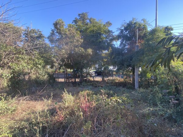 LOTE POR CARRETERA EN VENTA EN EL BATALLON NAVOLATO CULIACAN - Image 8