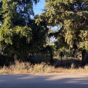 LOTE POR CARRETERA EN VENTA EN EL BATALLON NAVOLATO CULIACAN