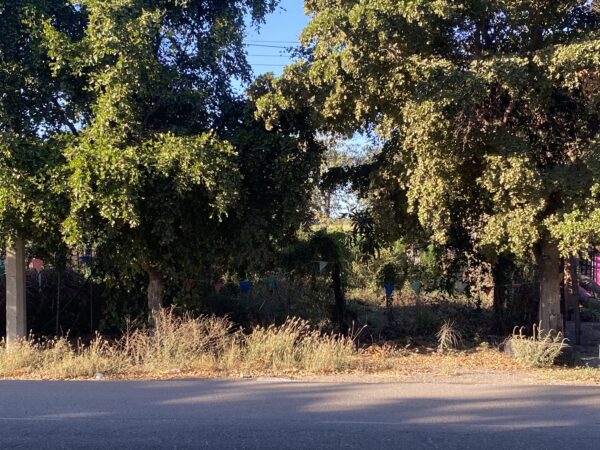 LOTE POR CARRETERA EN VENTA EN EL BATALLON NAVOLATO CULIACAN