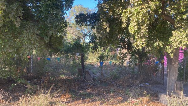 LOTE POR CARRETERA EN VENTA EN EL BATALLON NAVOLATO CULIACAN - Image 9
