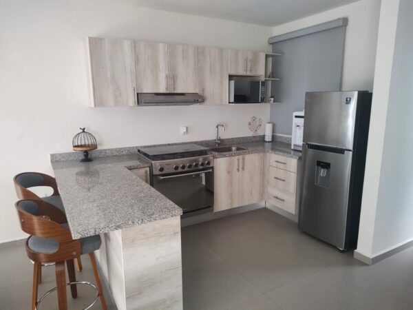 DEPARTAMENTO EN RENTA AMUEBLADO MAZATLAN CERRITOS - Image 8