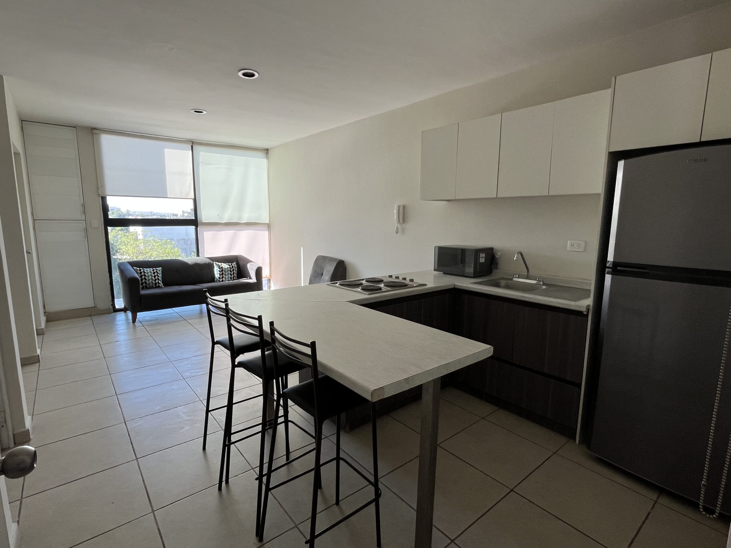 DEPARTAMENTOS DE RENTA AMUEBLADOS IGNACIO ALLENDE - Image 3