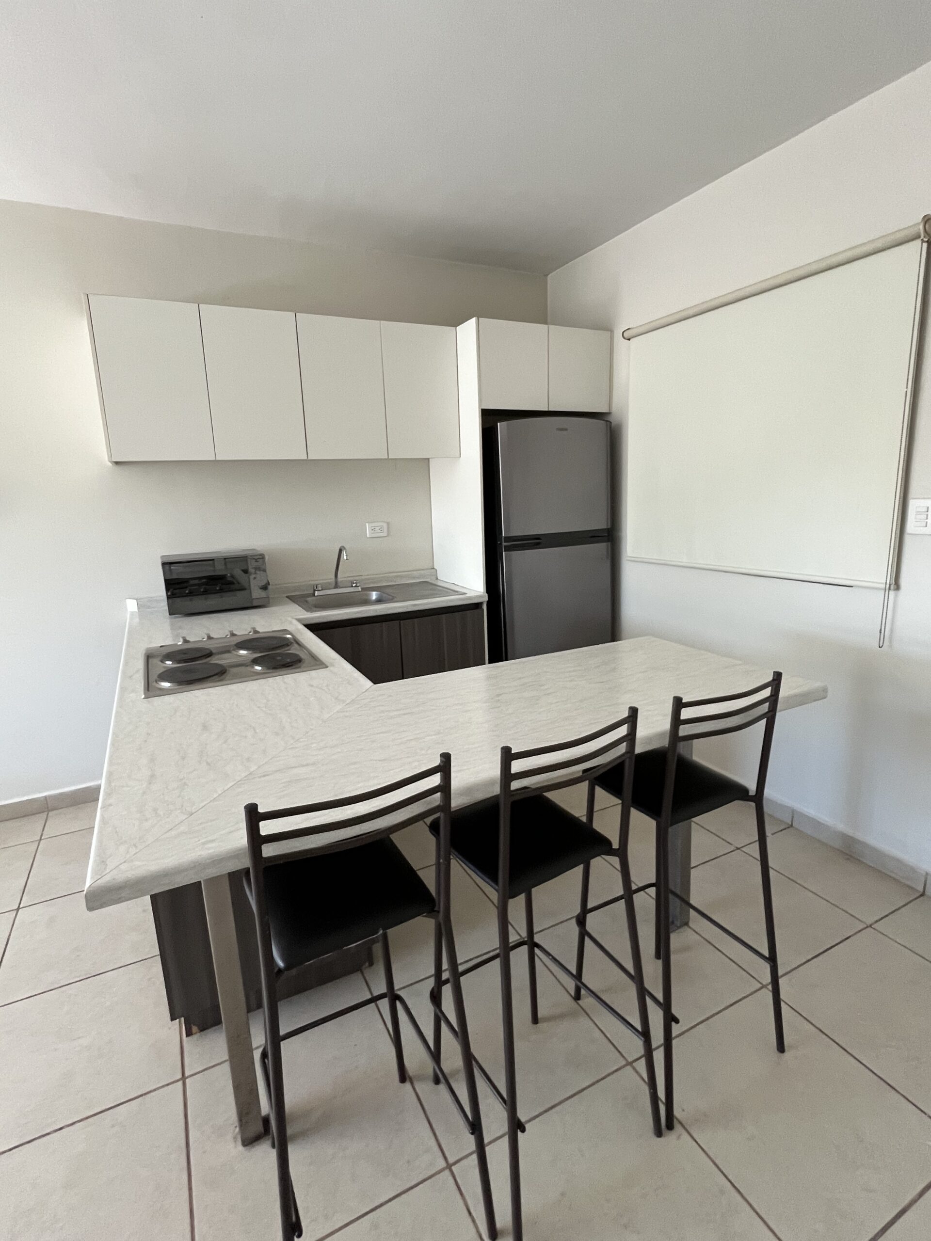 DEPARTAMENTOS DE RENTA AMUEBLADOS IGNACIO ALLENDE - Image 6