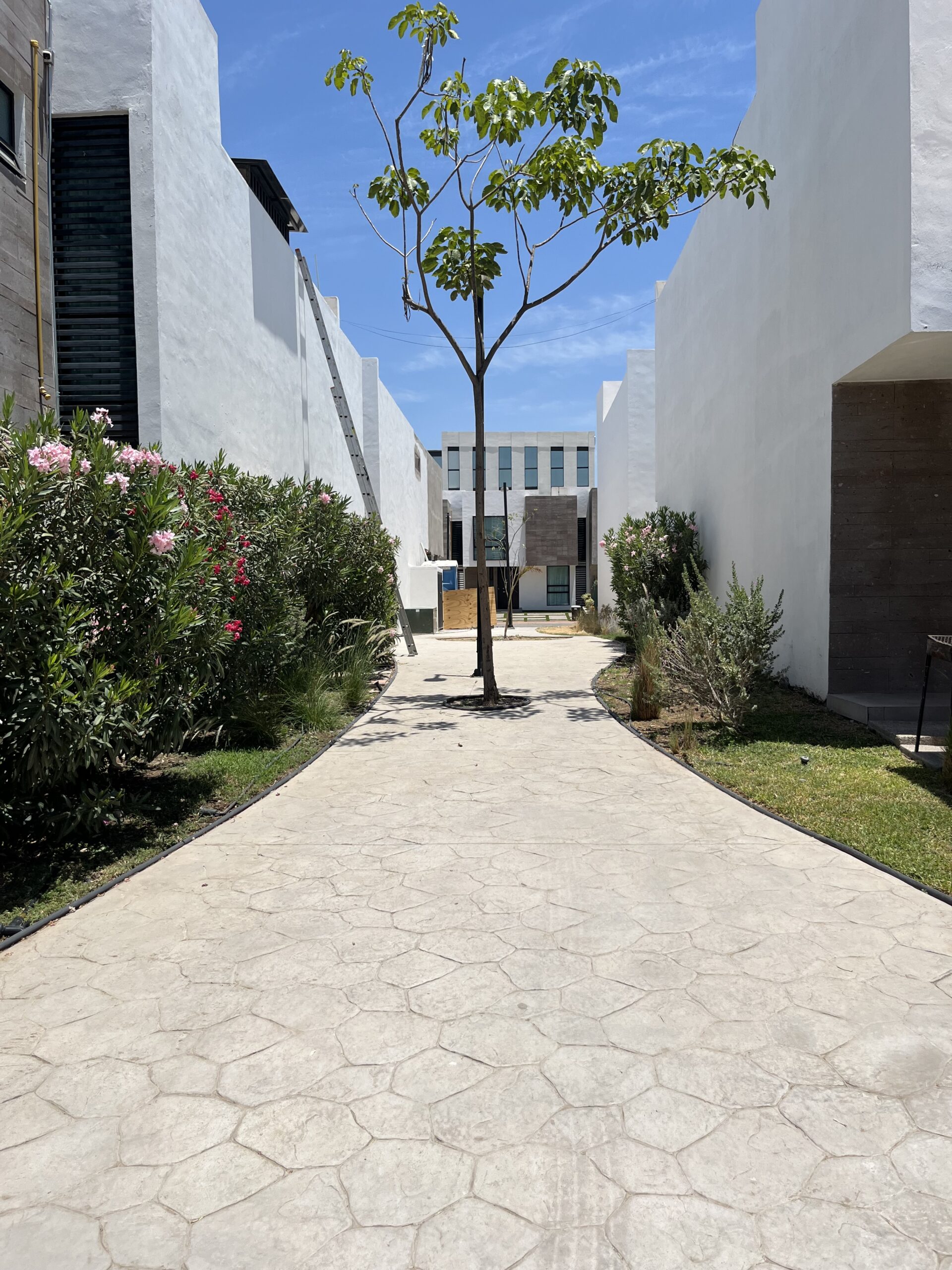 CASA NUEVA EN VENTA RESIDENCIAL NOVUM VALLE ALTO CULIACAN - Image 42